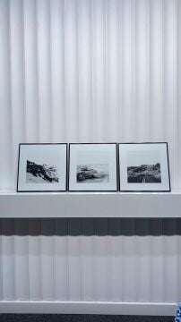 Metal Çerçeveli Camlı 3'lü Dekoratif Tablo Seti - Sessiz Doğa