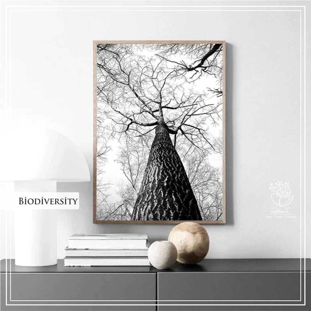 Biodiversity Tekli Tablo