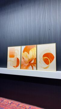 Springtown3 Üçlü Set Tablo