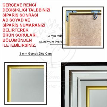 Metal Çerçeveli Camlı Kişiselleştirilebilir Tekli Göz Tablosu