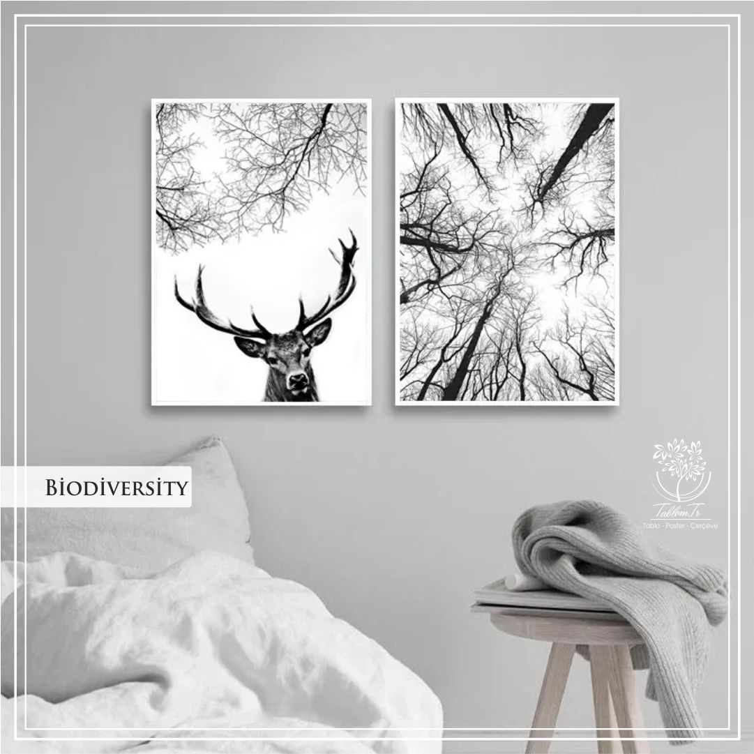 Biodiversity İkili Set Tablo