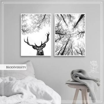 Biodiversity İkili Set Tablo