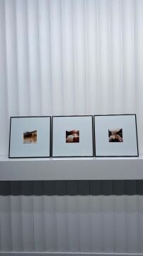 Metal Çerçeveli Camlı 3'lü Dekoratif Tablo Seti - Sakin Vadi