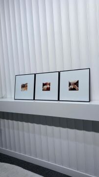 Metal Çerçeveli Camlı 3'lü Dekoratif Tablo Seti - Sakin Vadi