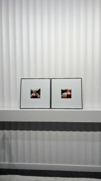 Metal Çerçeveli Gercek Camlı 2'li Tablo - Sakin Vadi