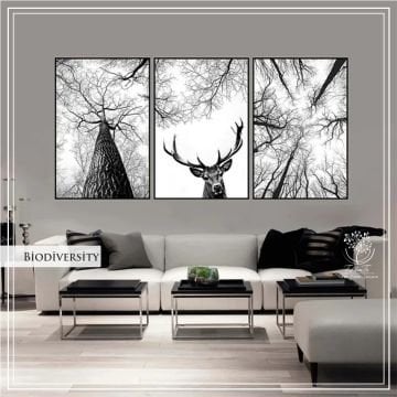 Biodiversity Üçlü Set Tablo