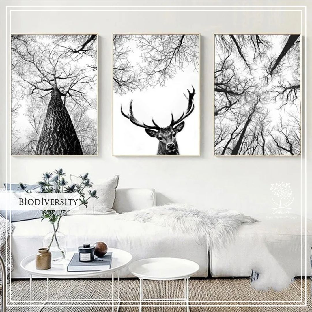 Biodiversity Üçlü Set Tablo