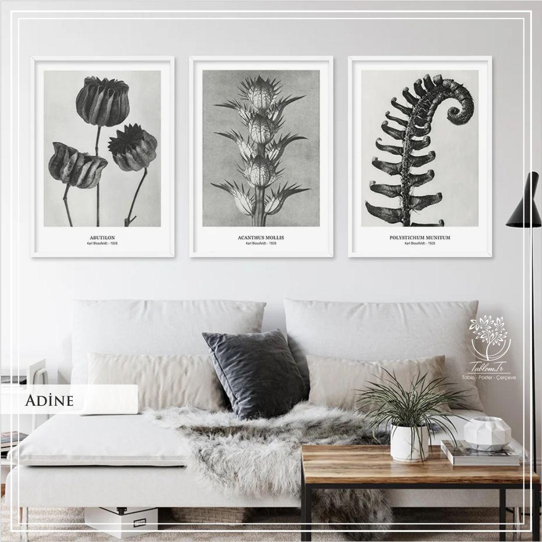 Adine Üçlü Set Tablo