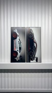 Dijital Baskılı Metal Çerçeveli Camlı İkili Dekoratif Tablo- Velocity