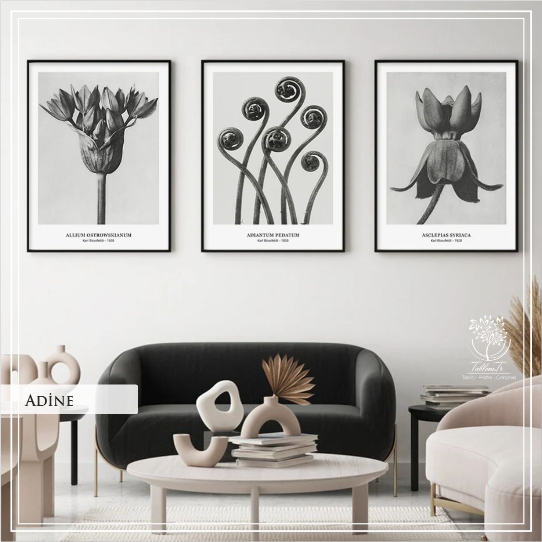 Adine2 Üçlü Set Tablo