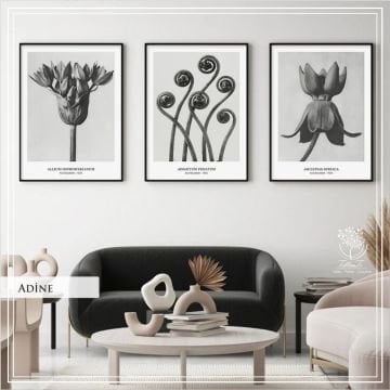 Adine2 Üçlü Set Tablo