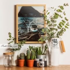 CapeTown Tekli Tablo