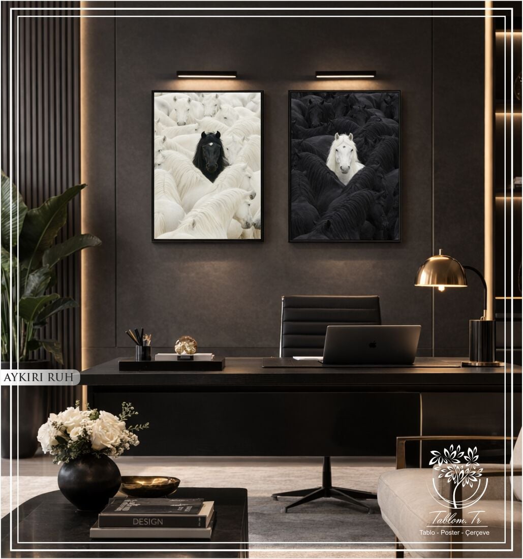 Dijital Baskılı Metal Çerçeveli Camlı İkili Dekoratif Tablo - Aykırı ruh