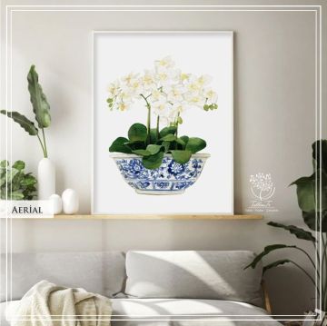 Aerial2 Tekli Tablo