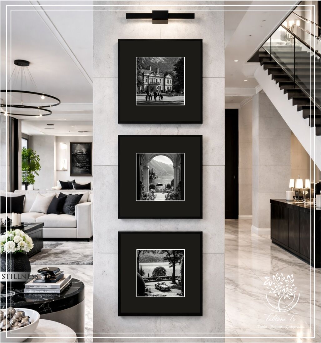 Metal Çerçeveli Camlı 3'lü Dekoratif Tablo Seti - Stillness