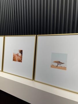 Metal Çerçeveli Camlı Breeze 4'lü Dekoratif Tablo