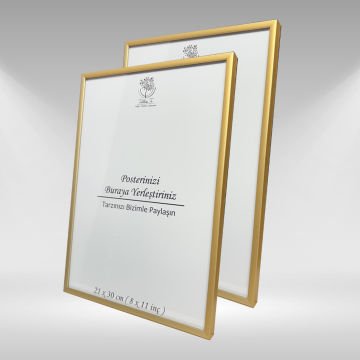 Gold Metal Çerçeveli Camlı Boş Çerçeve 21x30 CM - İkili
