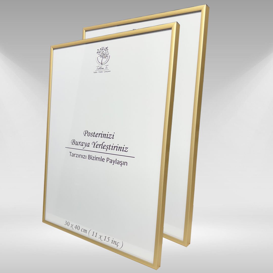 Gold Metal Çerçeveli Camlı Boş Çerçeve 30x40 CM - İkili