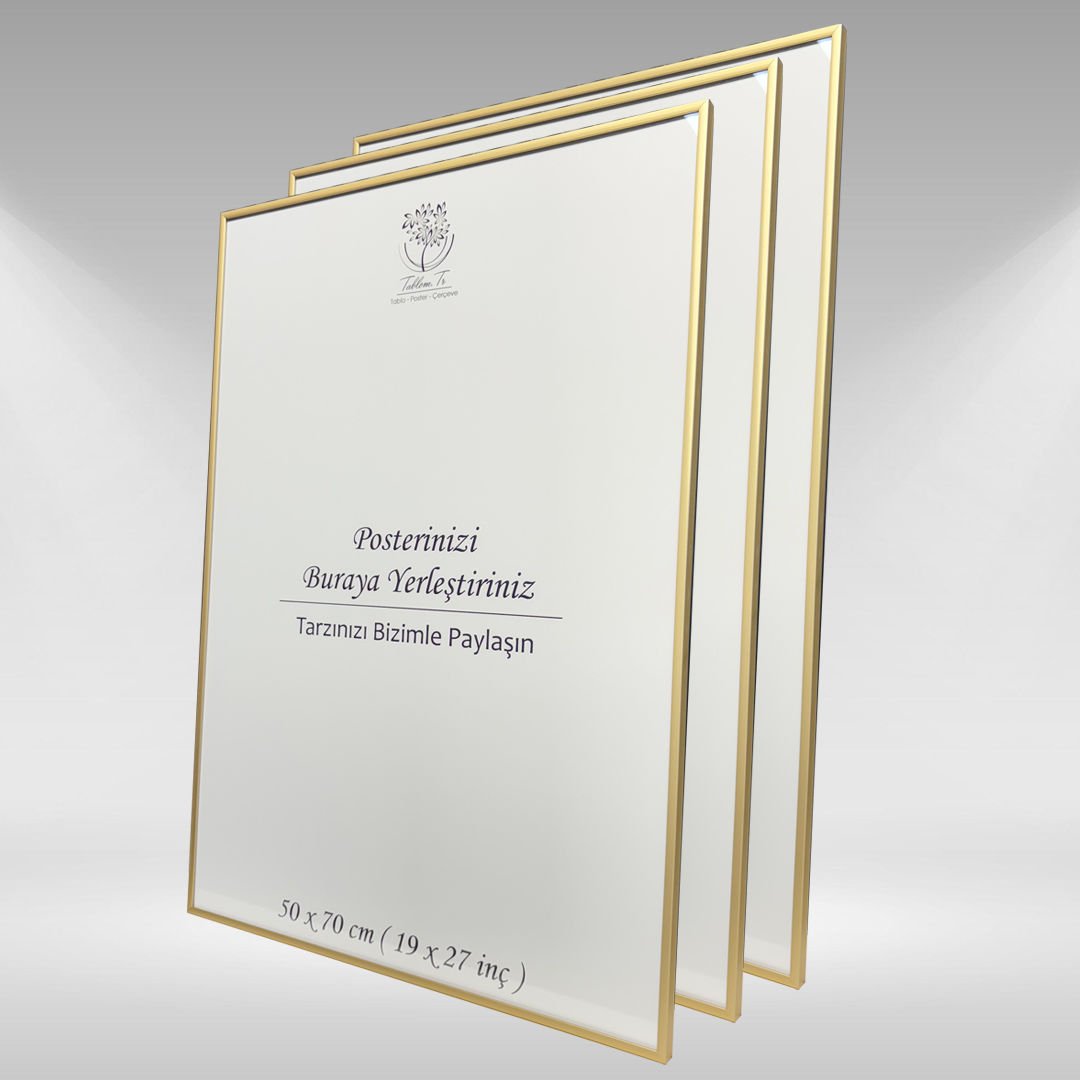 Gold Metal Çerçeveli Camlı Boş Çerçeve 50x70 CM - Üçlü