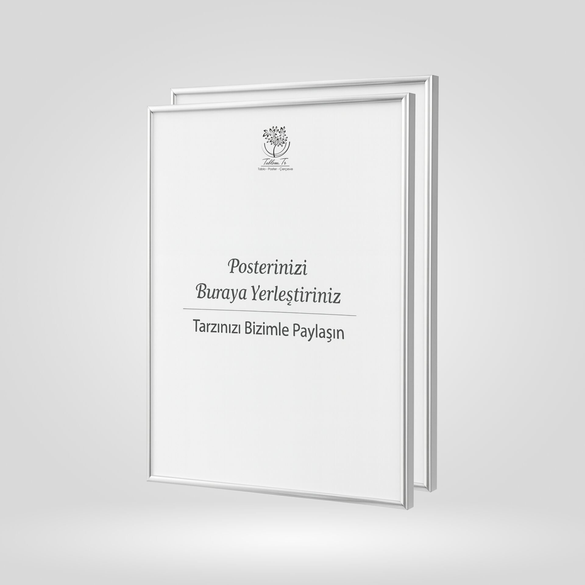 Gümüş Metal Çerçeveli Camlı Boş Çerçeve