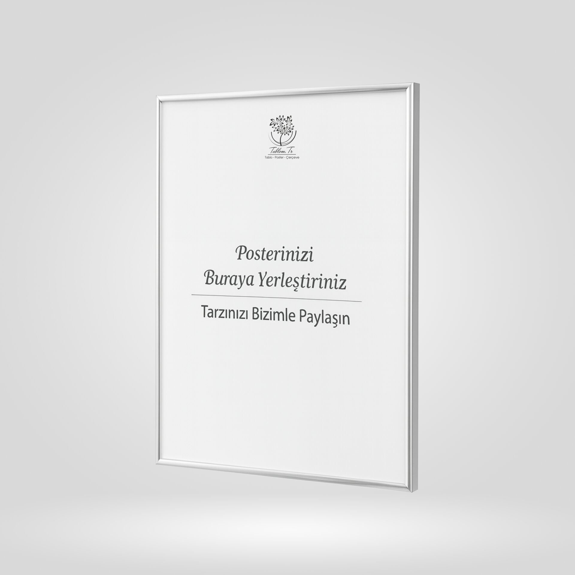 Gümüş Metal Çerçeveli Camlı Boş Çerçeve