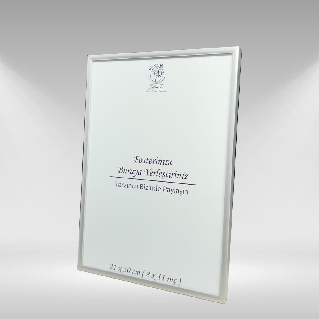 Gümüş Metal Çerçeveli Camlı Boş Çerçeve 21x30 CM - Tekli