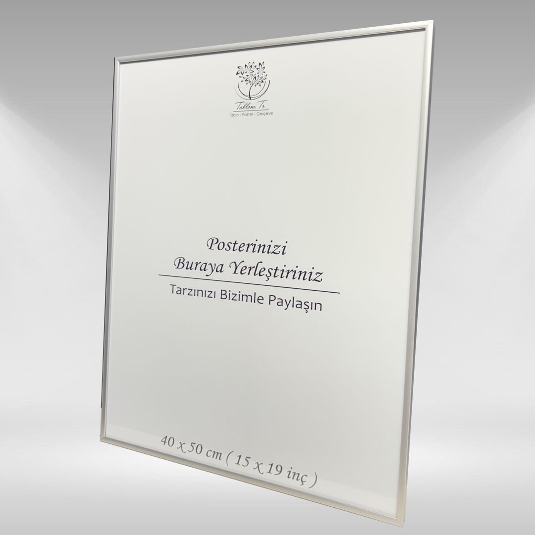Gümüş Metal Çerçeveli Camlı Boş Çerçeve 40x50 CM - Tekli