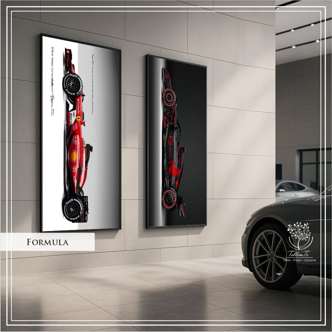 Dijital Baskılı Metal Çerçeveli Gerçek Camlı 2'li Tablo - Formula
