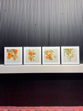 Metal Çerçeveli Camlı Persimmon 4'lü Dekoratif Tablo Seti