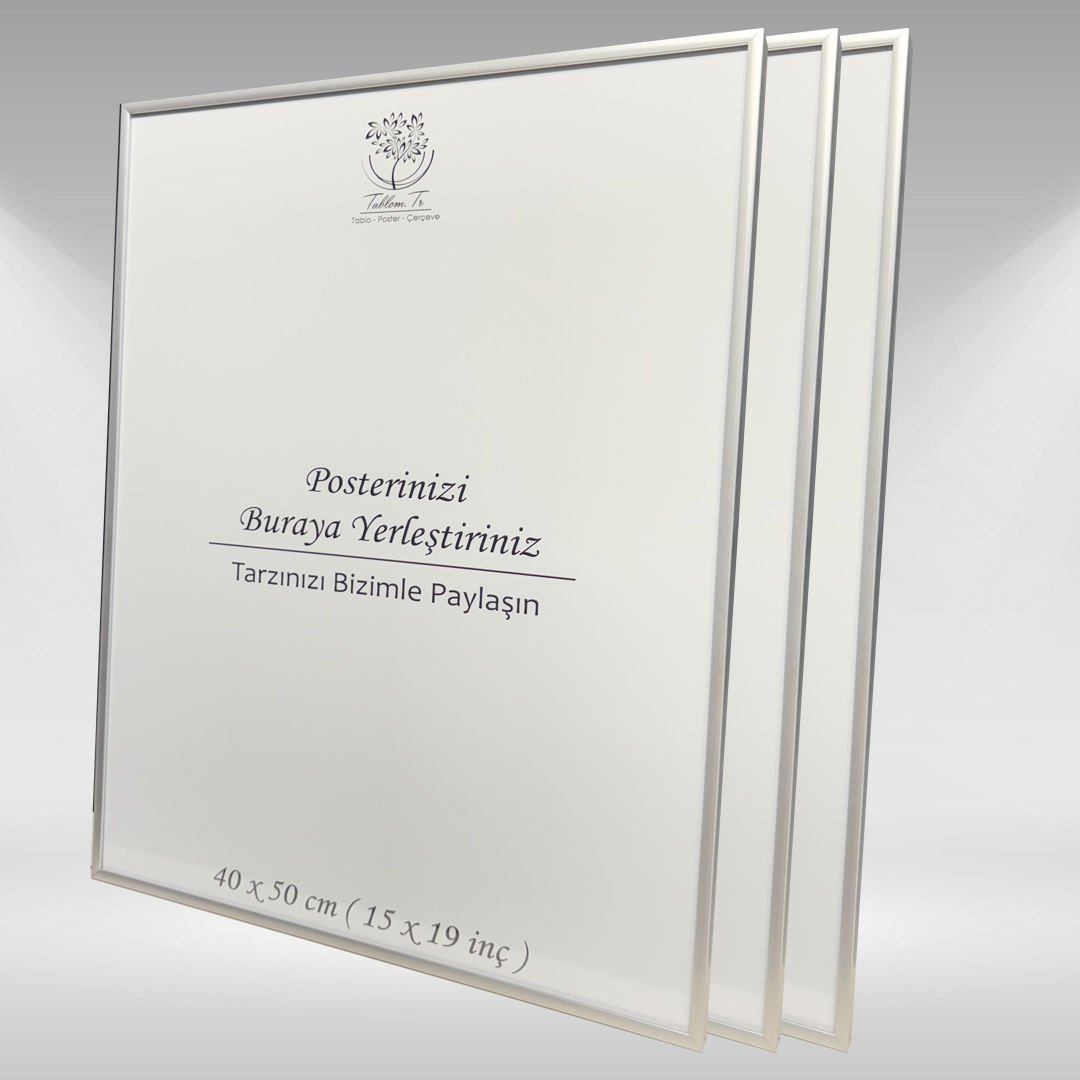 Gümüş Metal Çerçeveli Camlı Boş Çerçeve 40x50 CM - Üçlü
