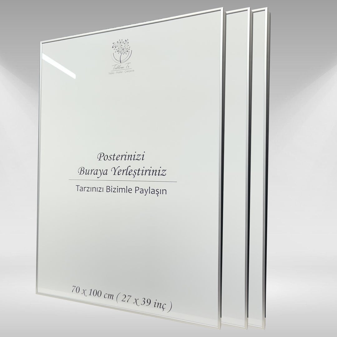 Gümüş Metal Çerçeveli Camlı Boş Çerçeve 70x100 CM - Üçlü