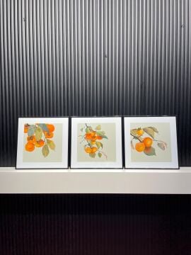 Metal Çerçeveli Camlı Persimmon 3'lü Dekoratif Tablo Seti