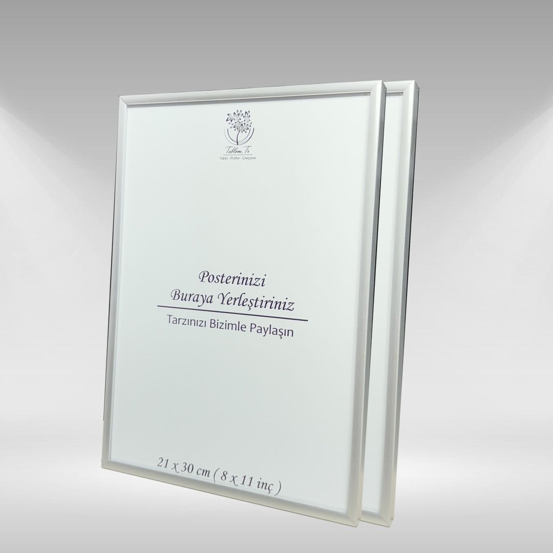 Gümüş Metal Çerçeveli Camlı Boş Çerçeve 21x30 CM - İkili