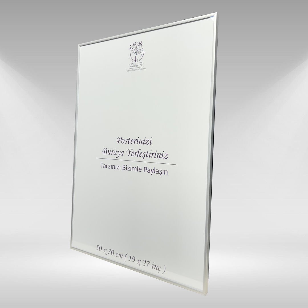 Gümüş Metal Çerçeveli Camlı Boş Çerçeve 50x70 CM - Tekli