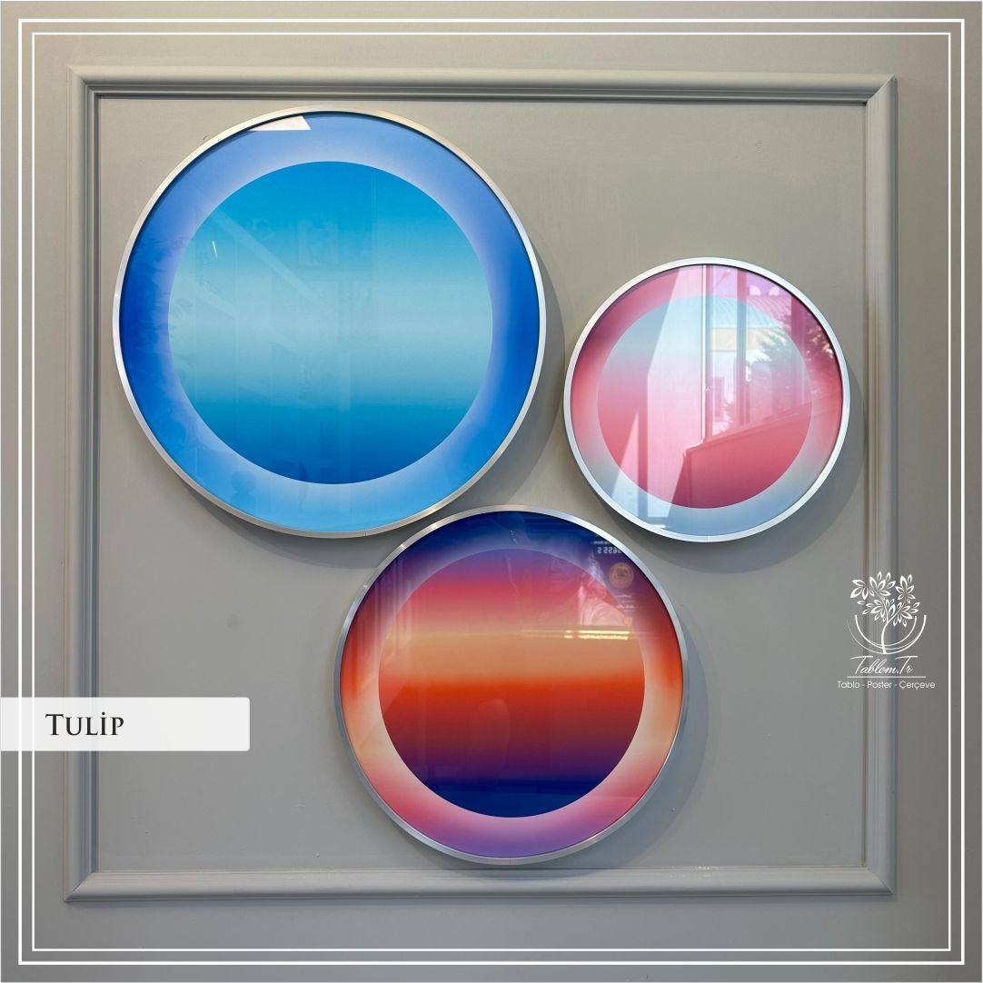 Tulip Yuvarlak Çerçeveli Camlı Tablo
